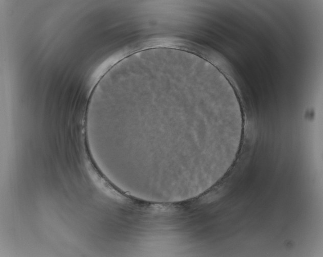 X0000111480954200908250958
