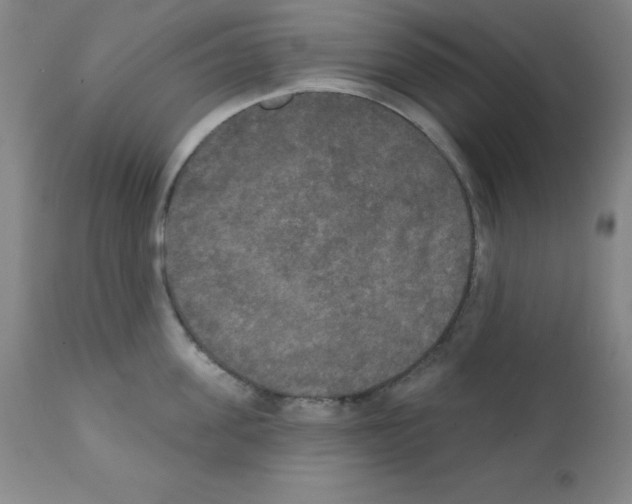 X0000111480955200908250958