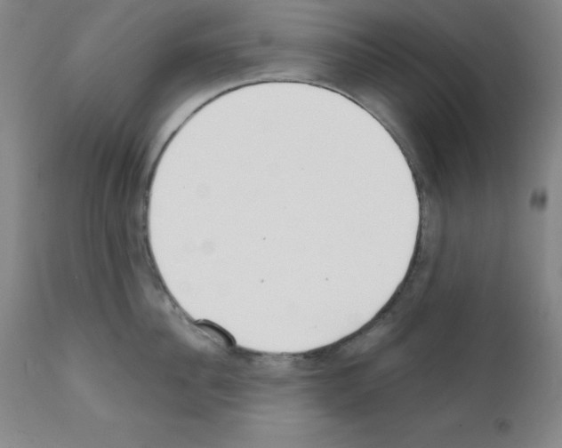 X0000111480956200908250958