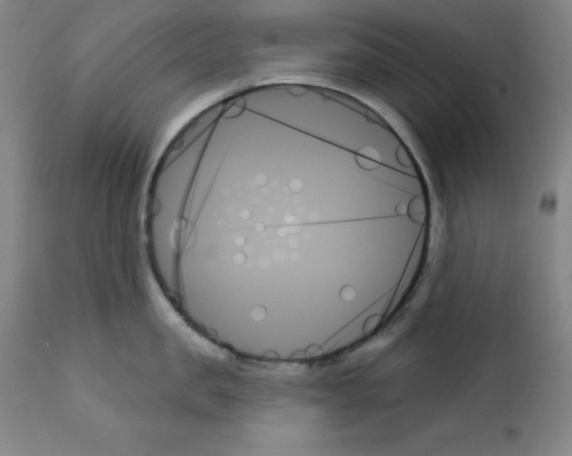 X0000111480957200908250958