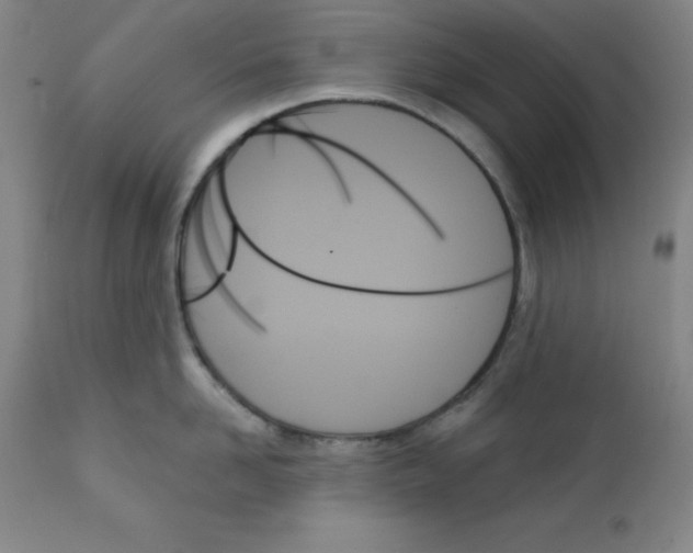 X0000111480958200908250958