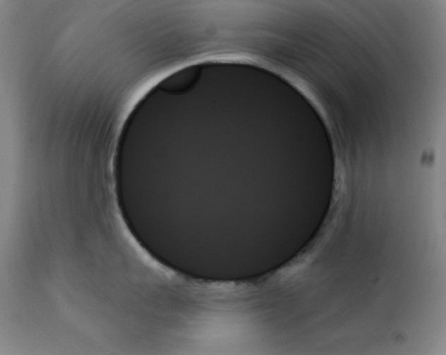 X0000111480959200908250958