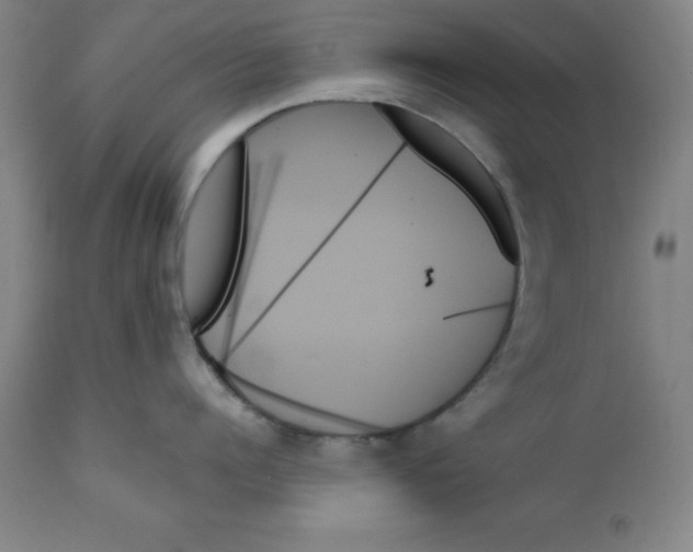 X0000111480960200908250958