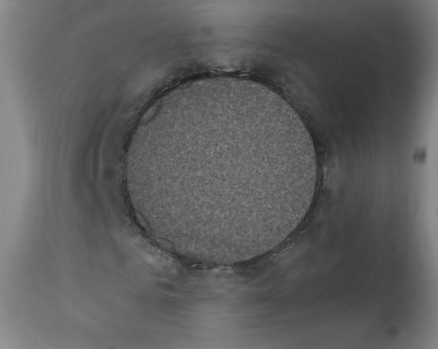 X0000111480961200908250958