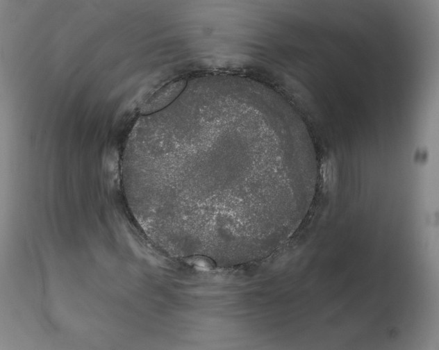 X0000111480963200908250958