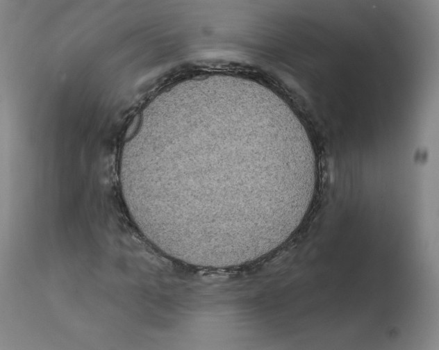 X0000111480965200908250958