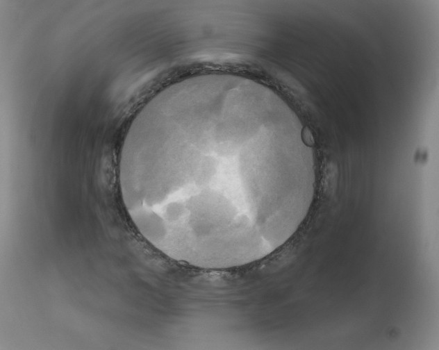 X0000111480966200908250958