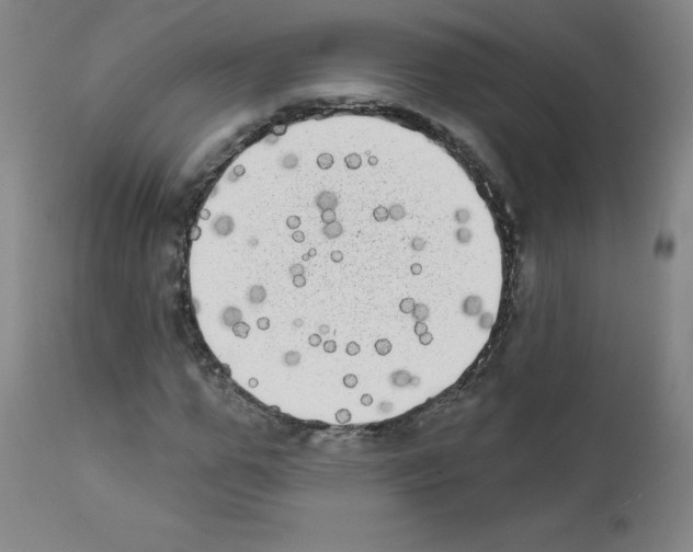 X0000111480967200908250958