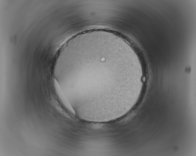X0000111480969200908250958