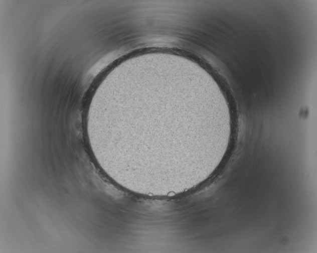 X0000111480970200908250958