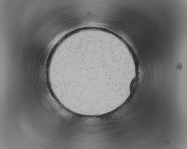 X0000111480972200908250958