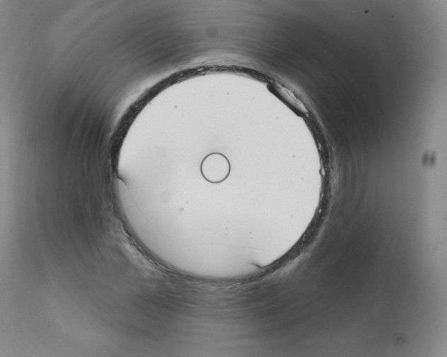 X0000111480973200908250958