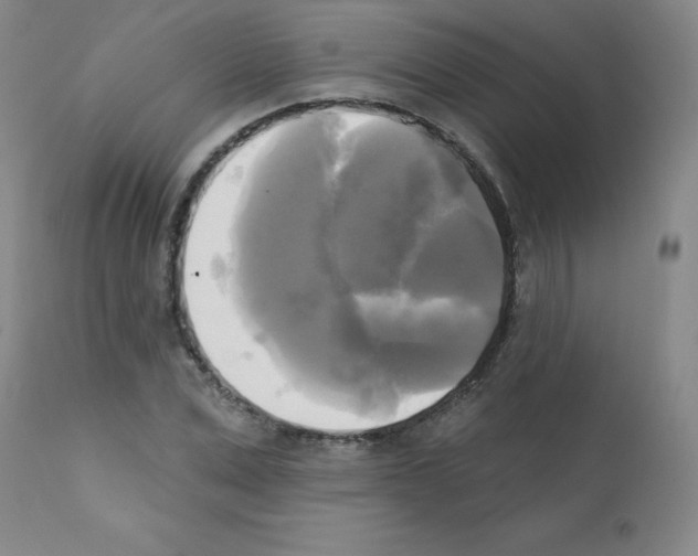 X0000111480975200908250957