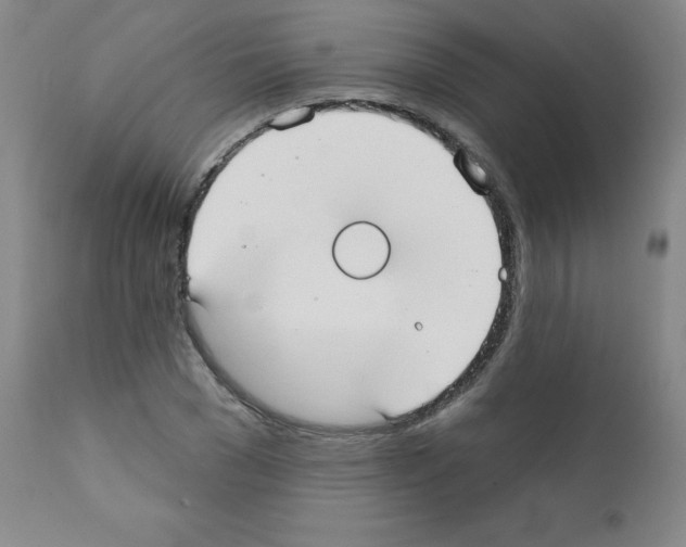 X0000111480977200908250957