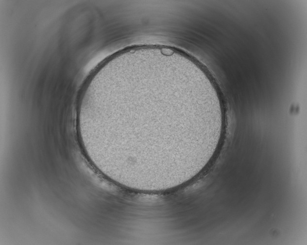 X0000111480982200908250957