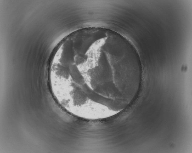 X0000111480983200908250957