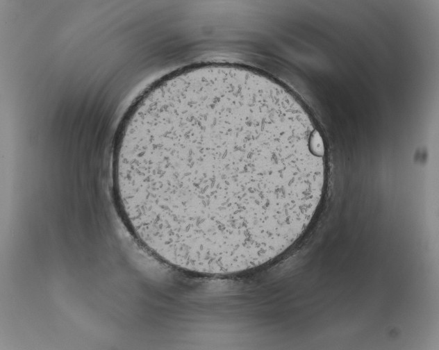X0000111480984200908250957