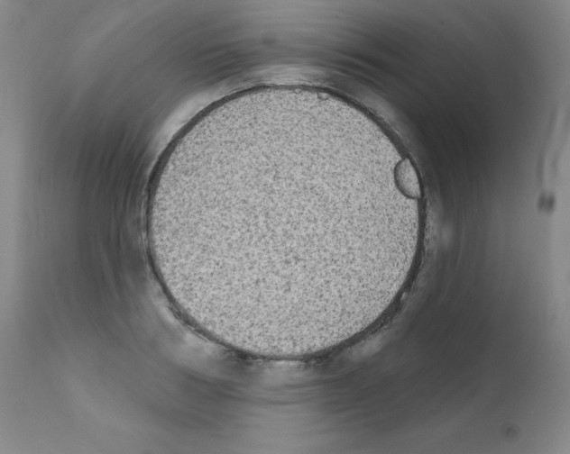 X0000111480986200908250957