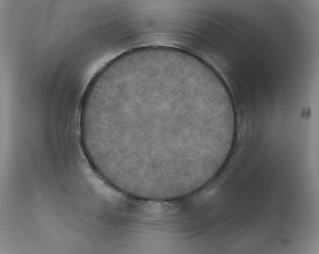 X0000111480987200908250957