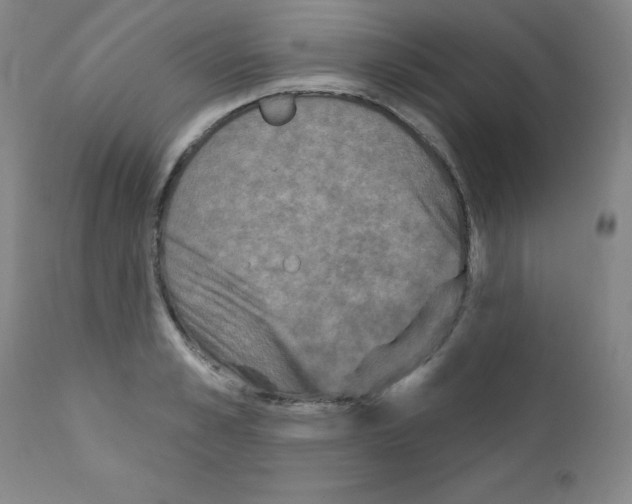 X0000111480989200908250957