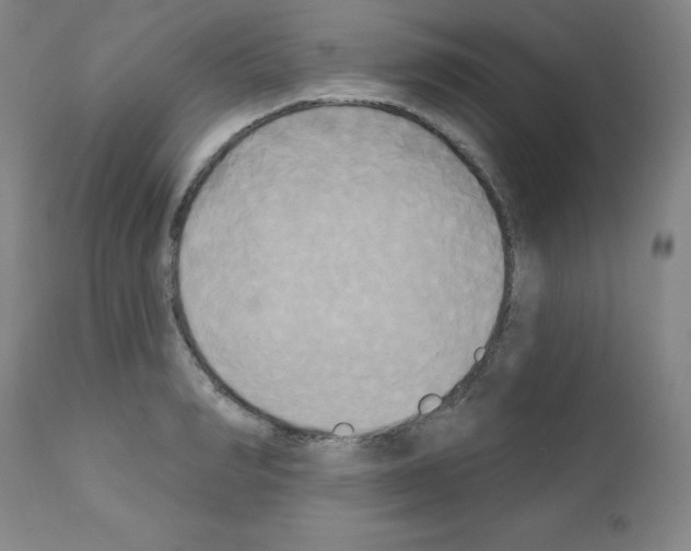 X0000111480990200908250957