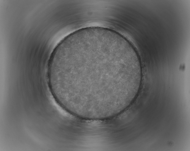 X0000111480991200908250957