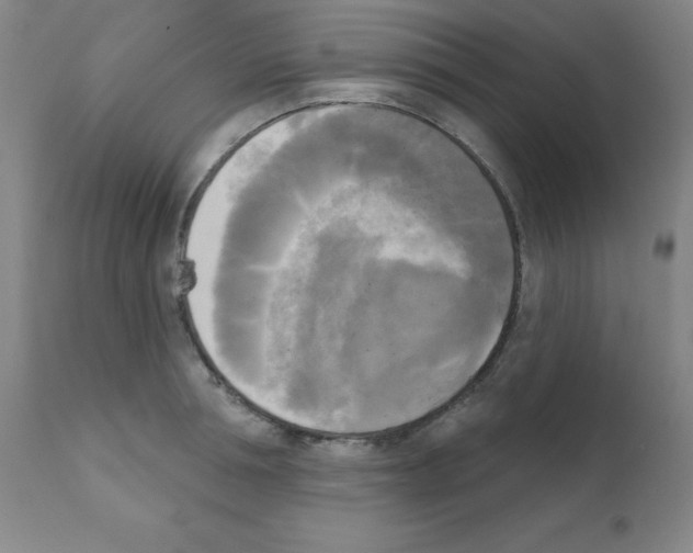 X0000111480994200908250957