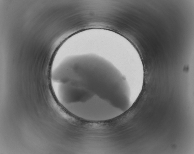 X0000111480995200908250957