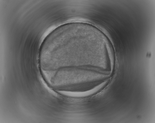 X0000111480997200908250957