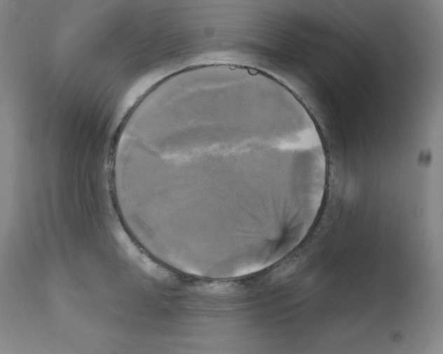 X0000111480998200908250957