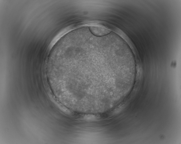 X0000111481002200908250957