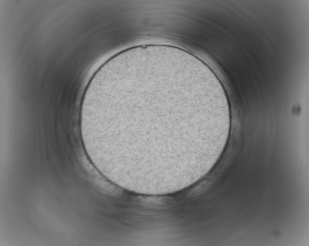 X0000111481004200908250957