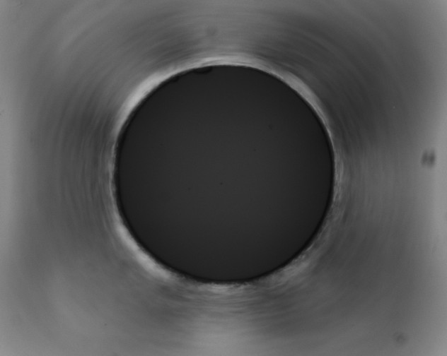 X0000111481005200908250957