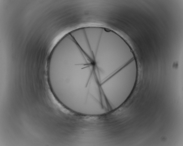 X0000111481006200908250957