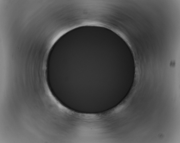 X0000111481007200908250957