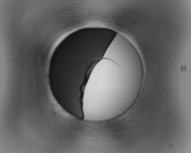 X0000111481008200908250957