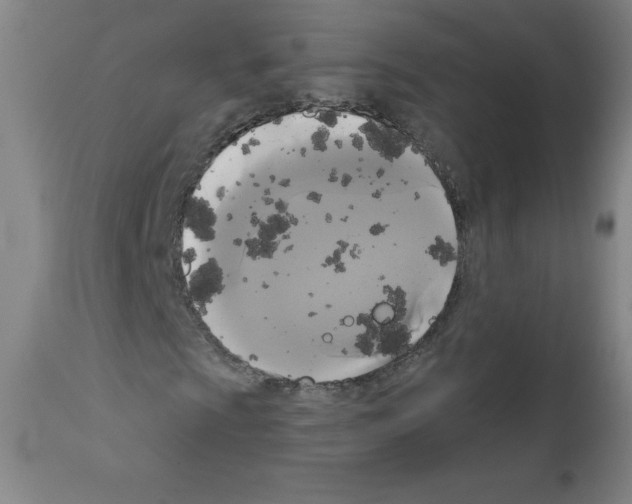 X0000111481009200908250956