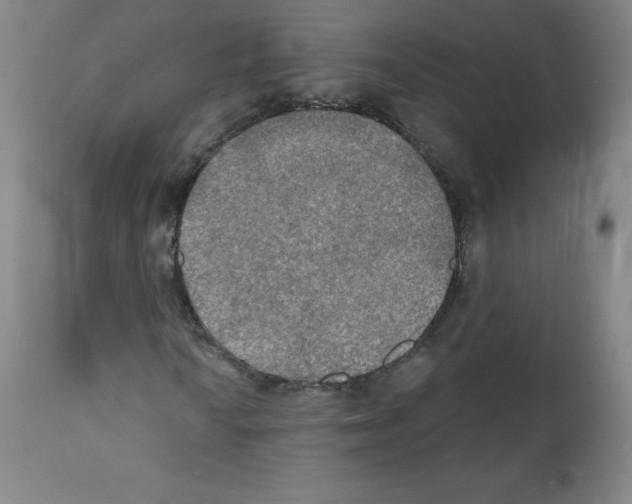 X0000111481010200908250956