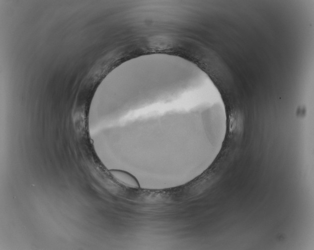 X0000111481011200908250956