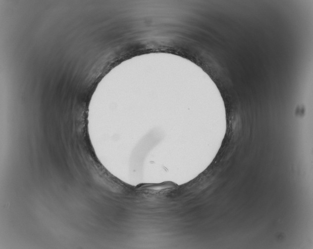 X0000111481012200908250956