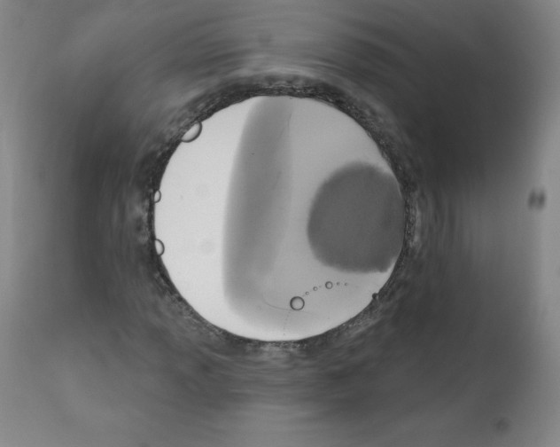 X0000111481013200908250956
