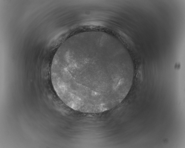 X0000111481014200908250956