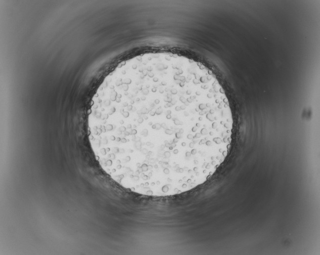 X0000111481016200908250956