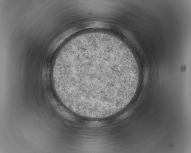 X0000111481017200908250956