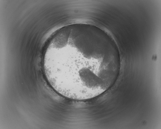 X0000111481019200908250956