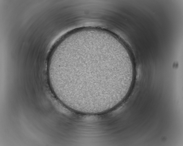 X0000111481021200908250956