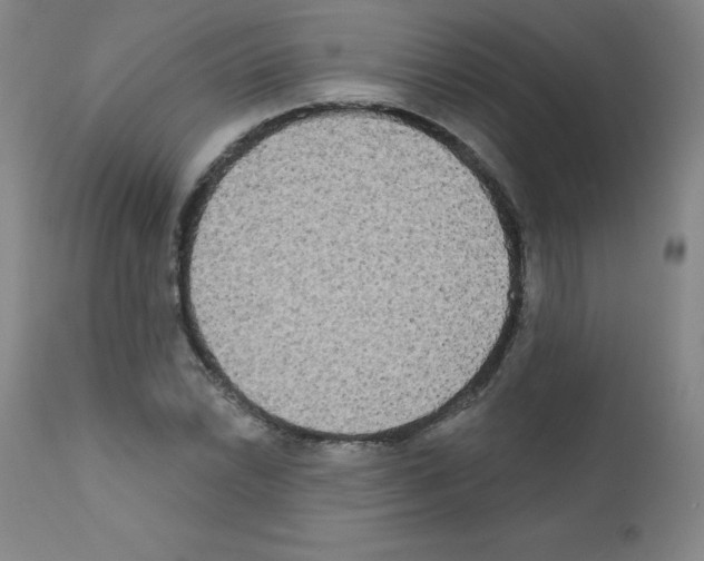X0000111481022200908250956