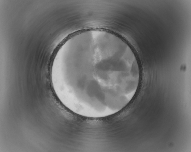 X0000111481023200908250956