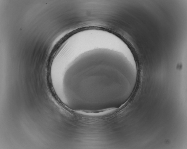 X0000111481024200908250956