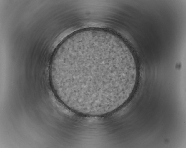 X0000111481025200908250956